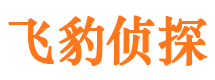 江阳私家侦探公司